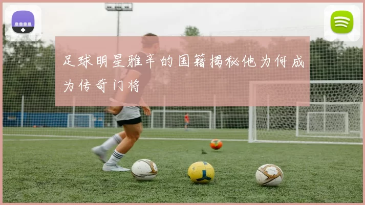 足球明星雅辛的国籍揭秘他为何成为传奇门将